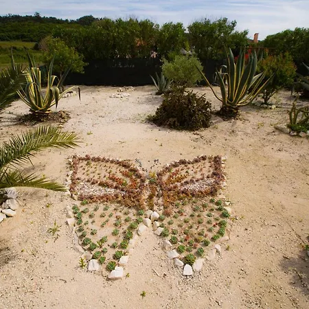 Refugio De Alma Em Flor Quinta Privada Com Piscina Назаре