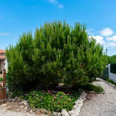 Refugio De Alma Em Flor Quinta Privada Com Piscina *